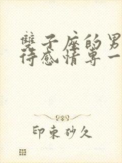 双子座的男生对待感情专一吗
