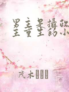 男主是摄政王女主重生的小说