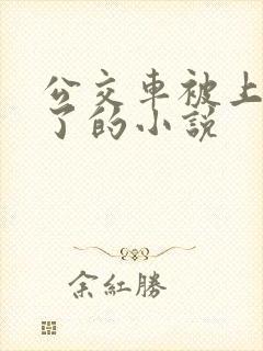 公交车被上高潮了的小说
