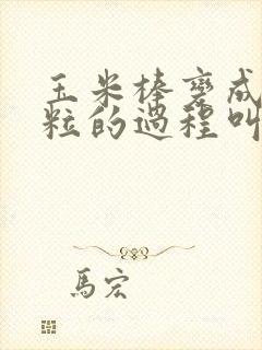玉米棒变成玉米粒的过程叫什么