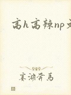 高h高辣np文