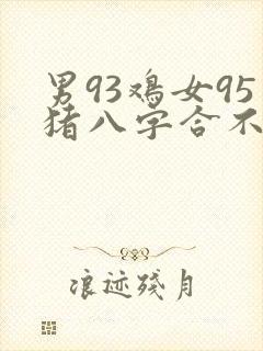 男93鸡女95猪八字合不合