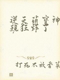 逆天萌宝神医娘亲狂炸了