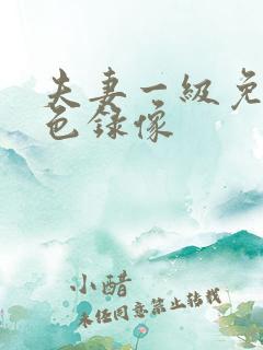 夫妻一级免费黄色录像