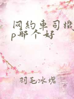 网约车司机app哪个好