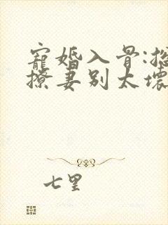 宠婚入骨:总裁撩妻别太坏免费在线阅读
