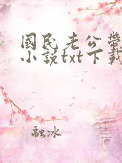 国民老公带回家小说txt下载