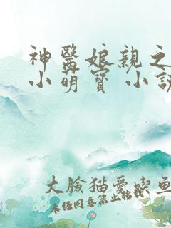 神医娘亲之腹黑小萌宝 小说