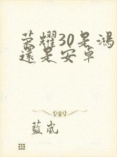 荣耀30是鸿蒙还是安卓