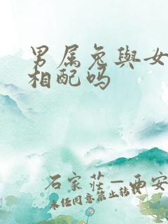 男属兔与女属羊相配吗