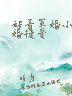 好看军婚小说先婚后爱