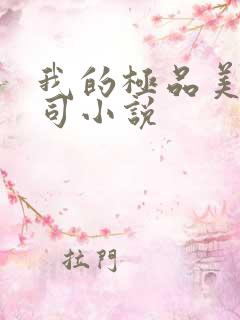 我的极品美人上司小说