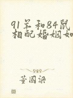 91羊和84鼠相配婚姻如何