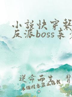 小说快穿系统之反派boss来袭txt