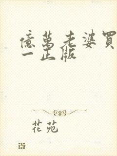 亿万老婆买一送一正版