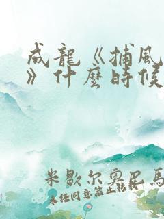 成龙《捕风追影》什么时候上映
