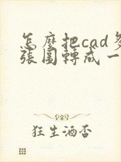 怎么把cad多张图转成一个pdf