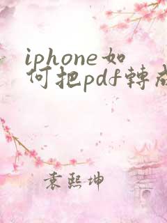 iphone如何把pdf转成word