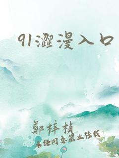 91涩漫入口