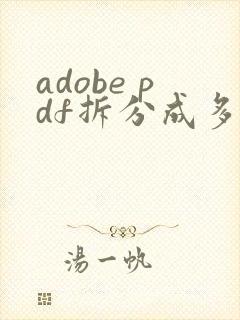 adobe pdf拆分成多个pdf