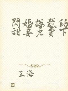 闪婚总裁的契约甜妻免费下载