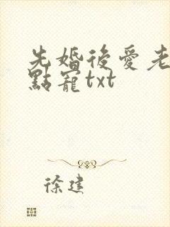 先婚后爱老公轻点宠txt