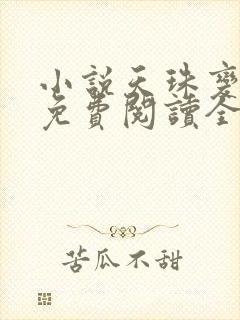 小说天珠变全文免费阅读全文
