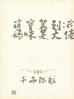萌宝驾到:我的妈咪是大佬