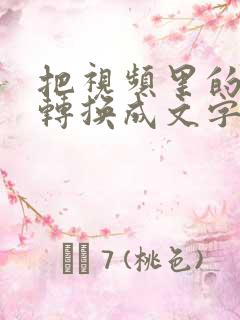 把视频里的声音转换成文字