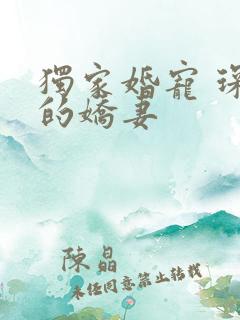独家婚宠 琛少的娇妻