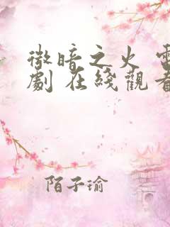 微暗之火 电视剧 在线观看