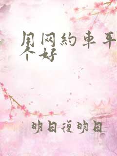 用网约车平台哪个好
