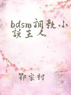 bdsm调教小说主人