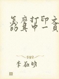 怎么打印文档中的其中一页