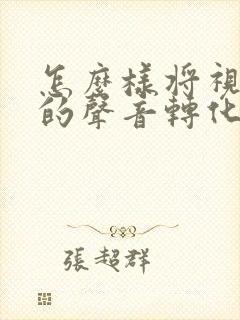 怎么样将视频里的声音转化为文字