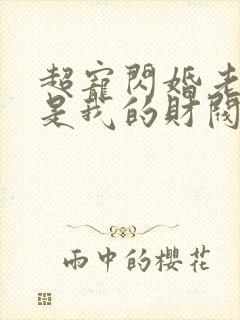 超宠闪婚老公竟是我的财阀大佬上司