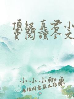 顶级真君小说免费阅读全文