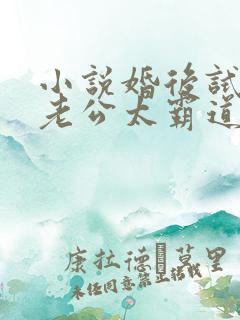 小说婚后试爱:老公太霸道最新章节