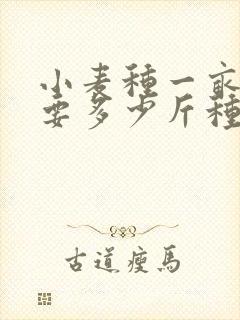 小麦种一亩地需要多少斤种子
