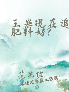 玉米现在追什么肥料好?