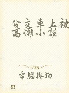 公交车上被插到高潮小说