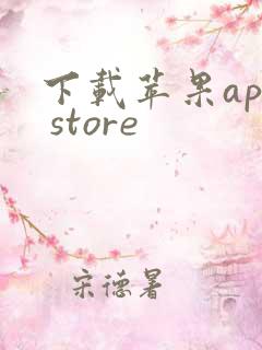 下载苹果app store