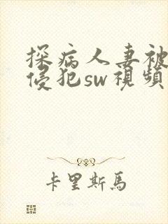 探病人妻被隔壁侵犯sw视频