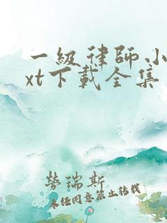 一级律师小说txt下载全集