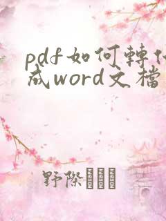 pdf如何转化成word文档软件