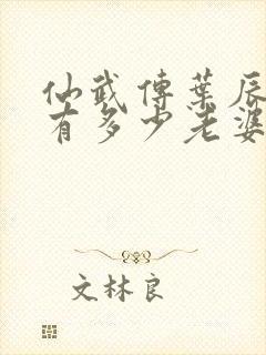 仙武传叶辰一共有多少老婆