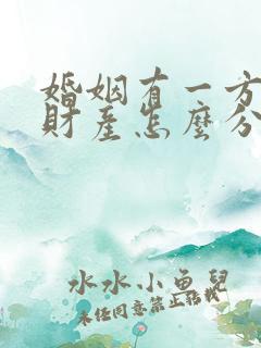 婚姻有一方出轨财产怎么分割