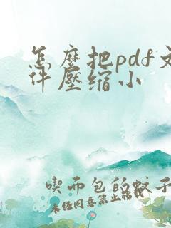 怎么把pdf文件压缩小