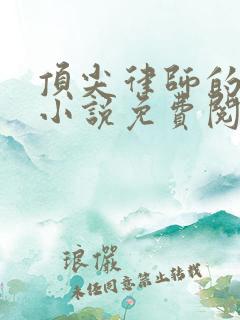 顶尖律师的落败小说免费阅读