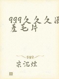 999久久久国产毛片